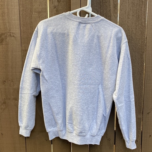 🌸Youth Busch Gardens 2022 sweatshirt size XL - Picture 4 of 9